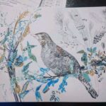 Територіальний етап Всеукраїнського конкурсу «Птах року»